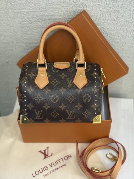 LV bag