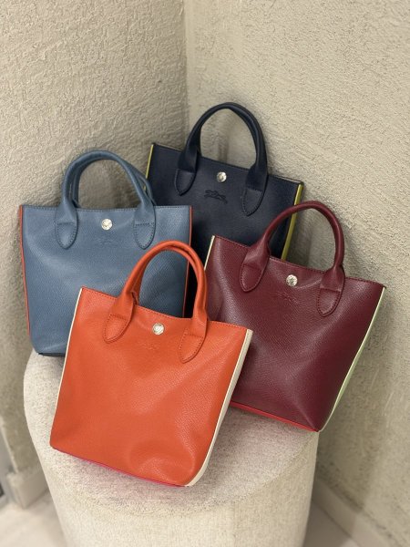 Longchamp bag